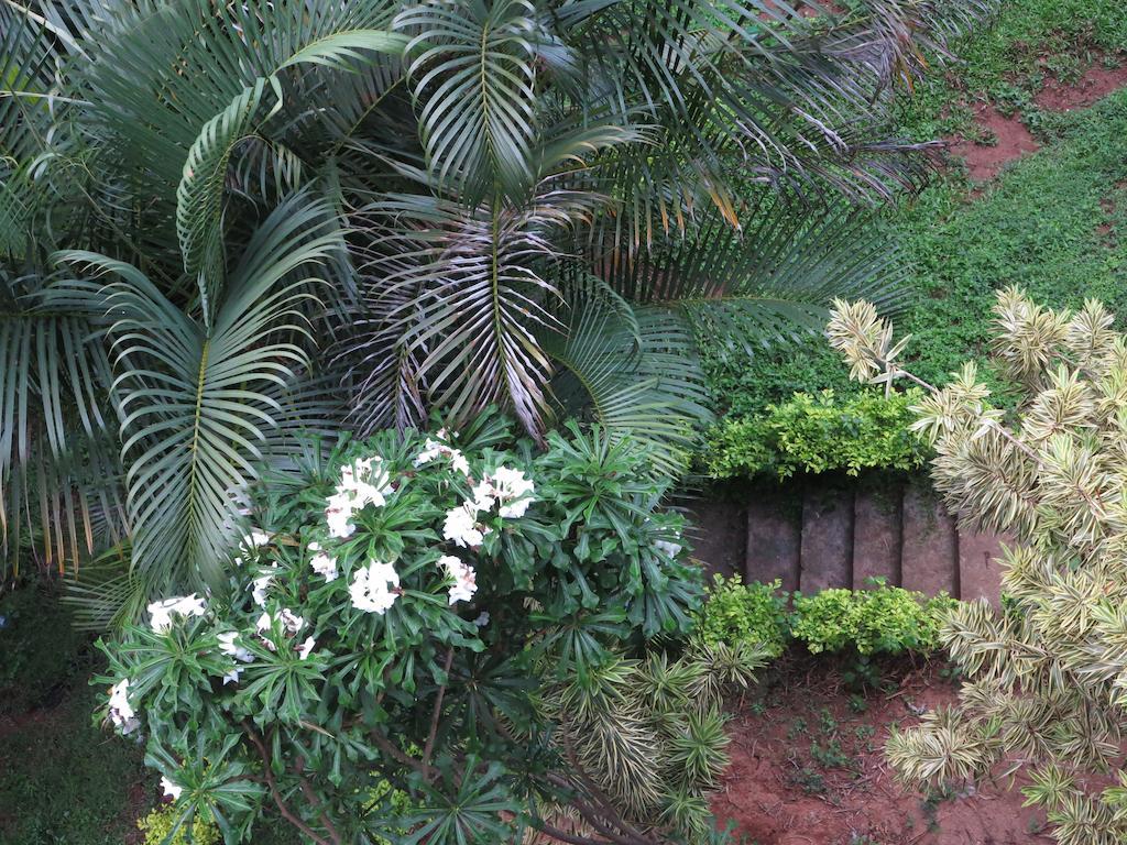Kandy View Garden Hotel Kültér fotó