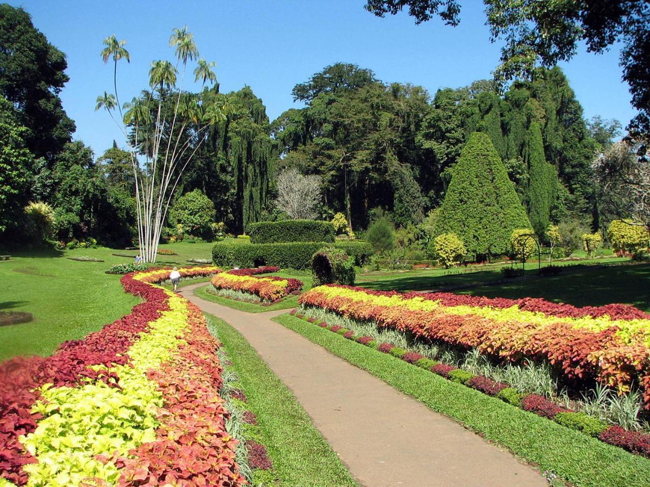 Kandy View Garden Hotel Kültér fotó